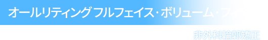 オールリティング フルフェイス·ボリューム·フィラー